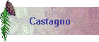 Castagno